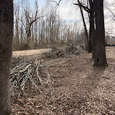 Tree-and-Limb-Cleanup-in-Taylor-MS 6